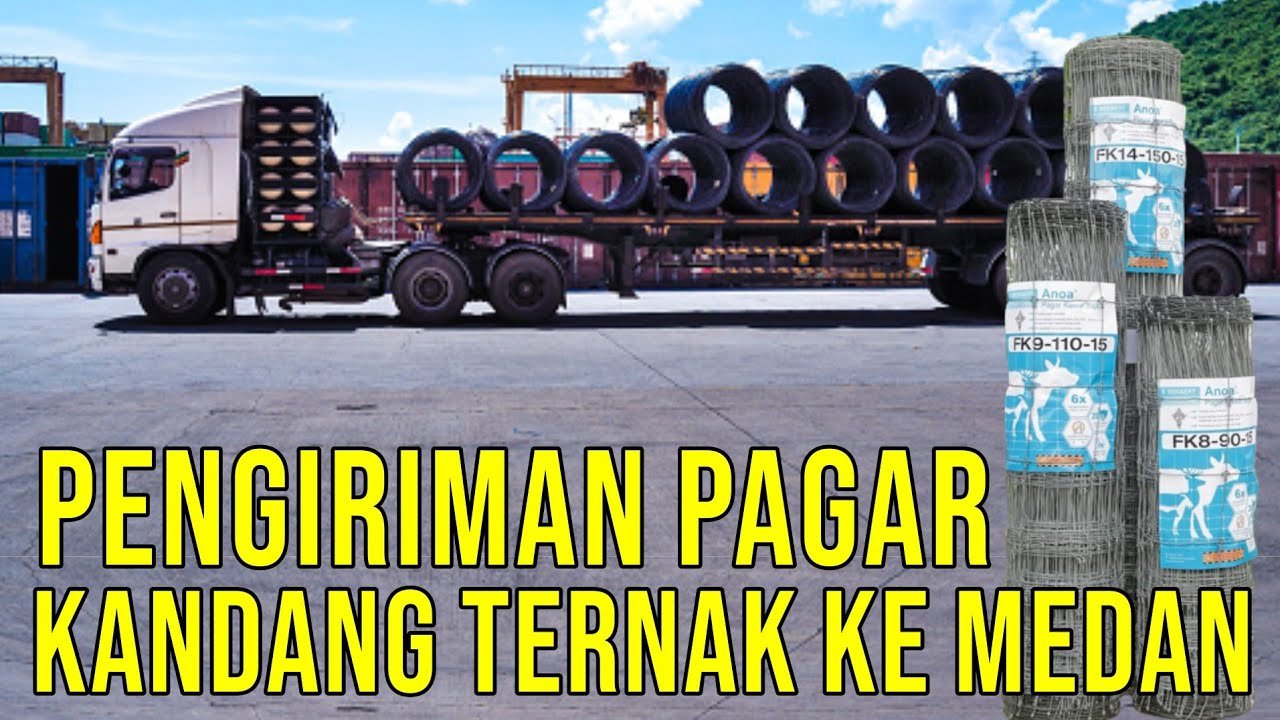 
                                 Pembelian-Pagar-Kandang-Ternak-Sapi-Ke-Peternakan-Sumatera-Utara